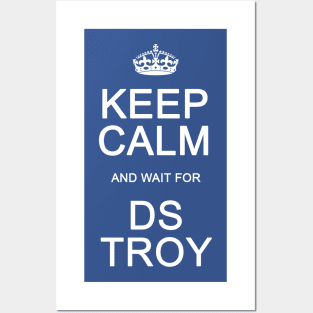 DS Troy Posters and Art